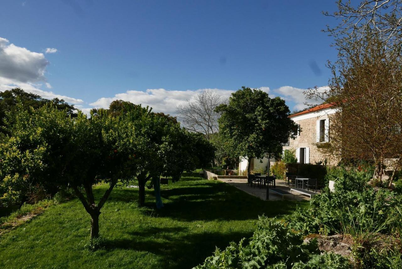 Bed and breakfast Monsanto - São Pedro de Vir-a-Corça Extérieur photo