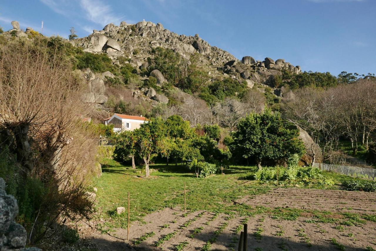 Bed and breakfast Monsanto - São Pedro de Vir-a-Corça Extérieur photo