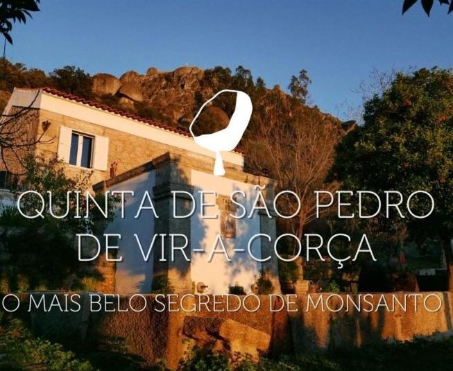 Bed and breakfast Monsanto - São Pedro de Vir-a-Corça Extérieur photo